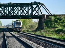 Privatización ferroviaria: los privados exigen trenes nuevos