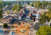 Alerta naranja por cianobacterias en la Repu