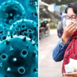 La variante K de la gripe H3N2 llegó a Sudamérica