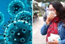 La variante K de la gripe H3N2 llegó a Sudamérica