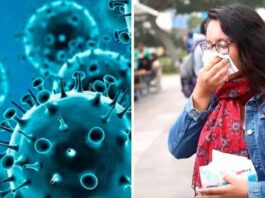 La variante K de la gripe H3N2 llegó a Sudamérica