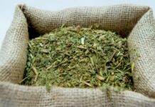 Desregulan la yerba y caen los controles de calidad