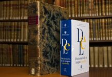 La RAE sumó más de 300 palabras al diccionario