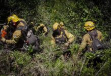 Alivio climático en Chubut y un fuerte reclamo de brigadistas