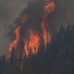 Incendios en Chubut: cortan un tramo clave de la Ruta 71 por el avance del fuego