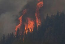 Incendios en Chubut: cortan un tramo clave de la Ruta 71 por el avance del fuego