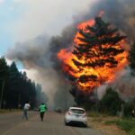 Impulsan tipificar el ecocidio en el Código Penal