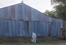 Hantavirus: Arrecifes confirmó su primera muerte