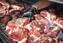 La carne vacuna alcanza su mayor valor en 15 años