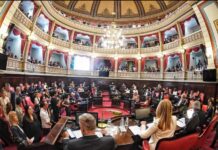 Senadoras peronistas impulsan una comisión de Mujeres y Diversidades