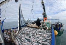 Abad pidió un plan para potenciar la pesca
