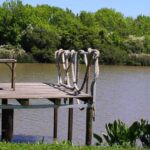 Denuncian intento de loteo ilegal en Isla Santiago