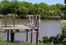 Denuncian intento de loteo ilegal en Isla Santiago