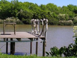 Denuncian intento de loteo ilegal en Isla Santiago