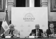 Falsas denuncias: polémica por un proyecto que podría desalentar denuncias