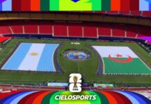 Mundial y apuestas: alerta por jóvenes