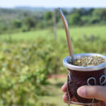 UBA creó un bioplástico que se degrada en cinco semanas