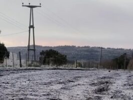 La nieve llegó a localidades de la provincia de Buenos Aires