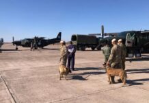 El Palomar: partieron vuelos de ayuda humanitaria hacia Venezuela