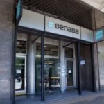 SENASA prohíbe vacunar contra la peste bovina