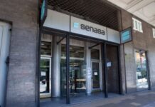SENASA prohíbe vacunar contra la peste bovina